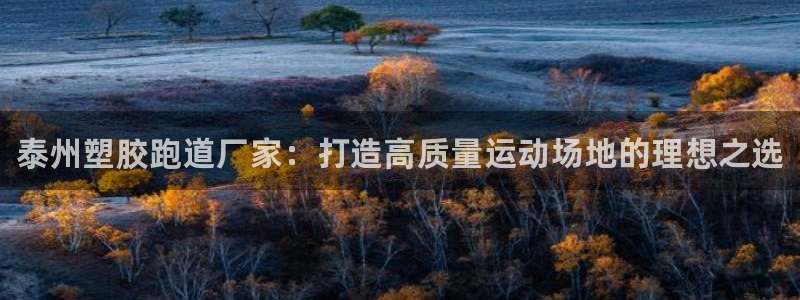 ag尊龙官方网站app:泰州塑胶跑道厂家:打造高质量运动场地