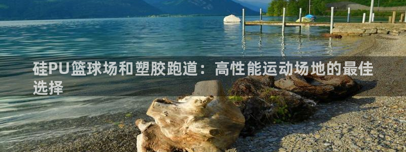 尊龙人生就是傅官网:硅PU篮球场和塑胶跑道:高性能运动场地的