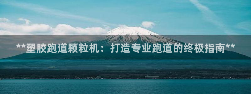 尊龙凯时有限公司:**塑胶跑道颗粒机:打造专业跑道的终极指南