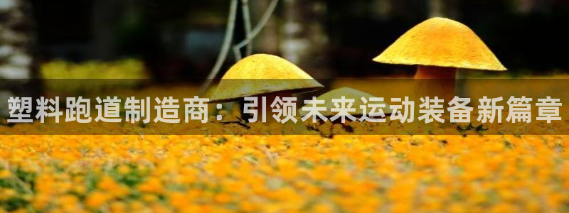 尊龙凯时登陆:塑料跑道制造商:引领未来运动装备新篇章